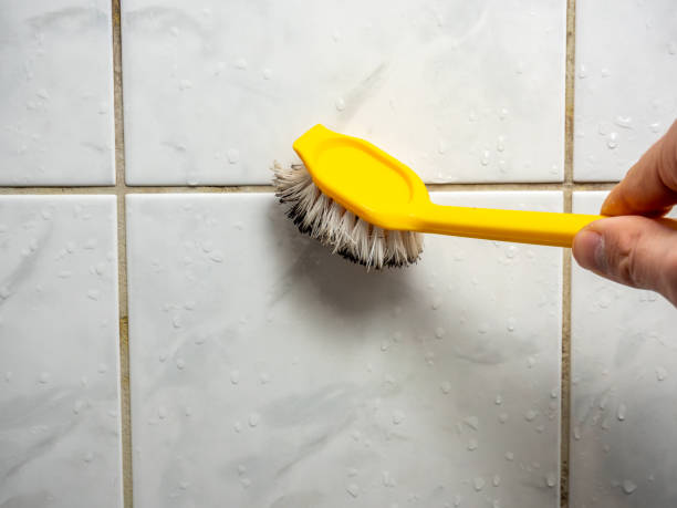 Best Professional Mold Removal  in Calhoun Falls, SC