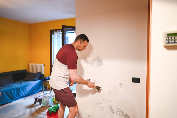 Best Commercial Mold Removal  in Calhoun Falls, SC