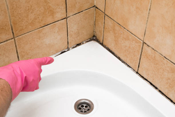 Best Crawl Space Mold Removal  in Calhoun Falls, SC